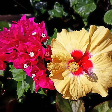 Al Mare * Asprovalta